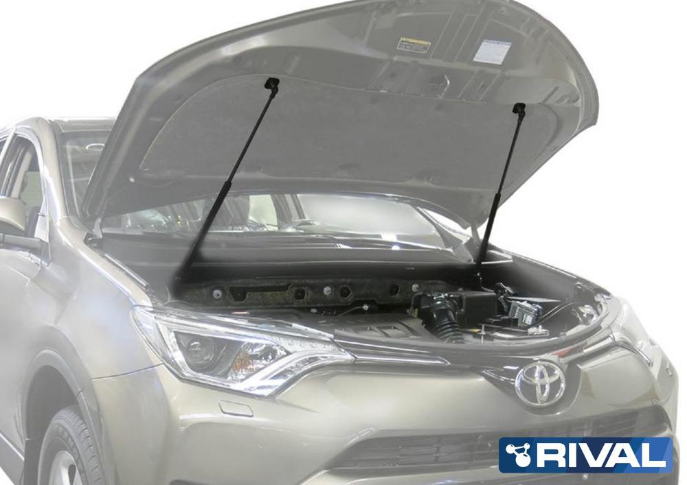 Амортизаторы капота RIVAL (2 шт.) Toyota Rav 4 2013-
